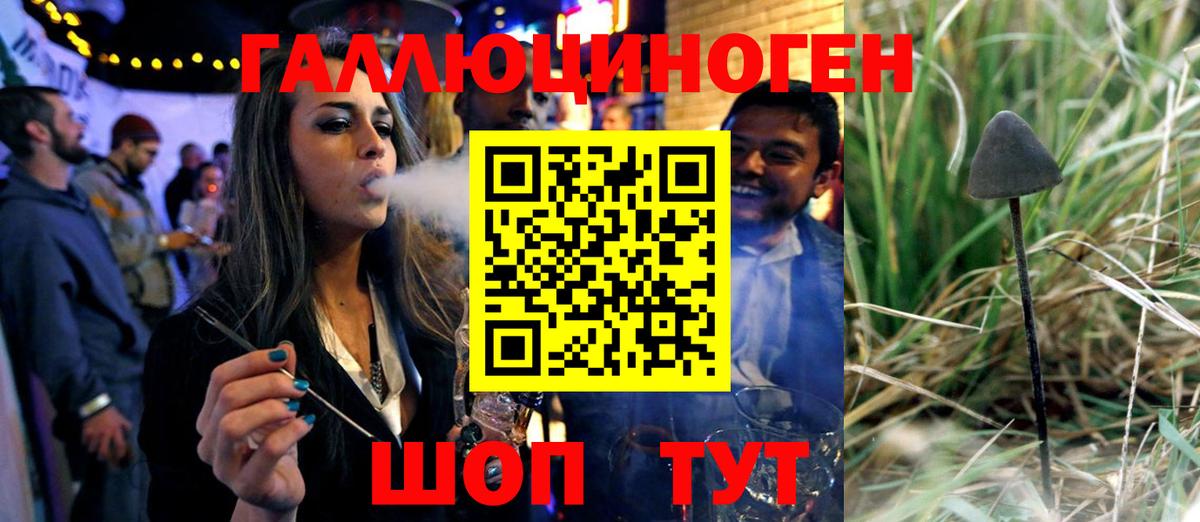 Можайск  Галлюциногенные грибы Cubensis  Вход с VPN 